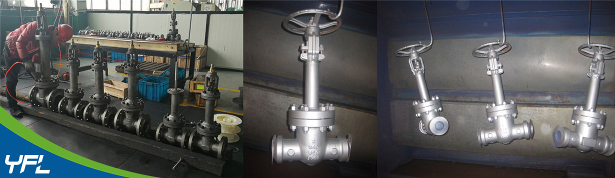 WC9 High temperature bellows seal gate valves