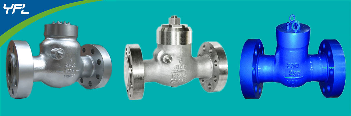 Pressure seal bonnet WC6 swing check valves, CY40 swing check valves, WC9 swing check valves
