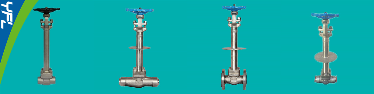 Forged steel Cryogenic gate valves Flanged ends, BW ends, NPT ends