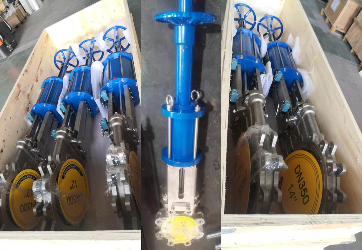 double acting knife gate valves