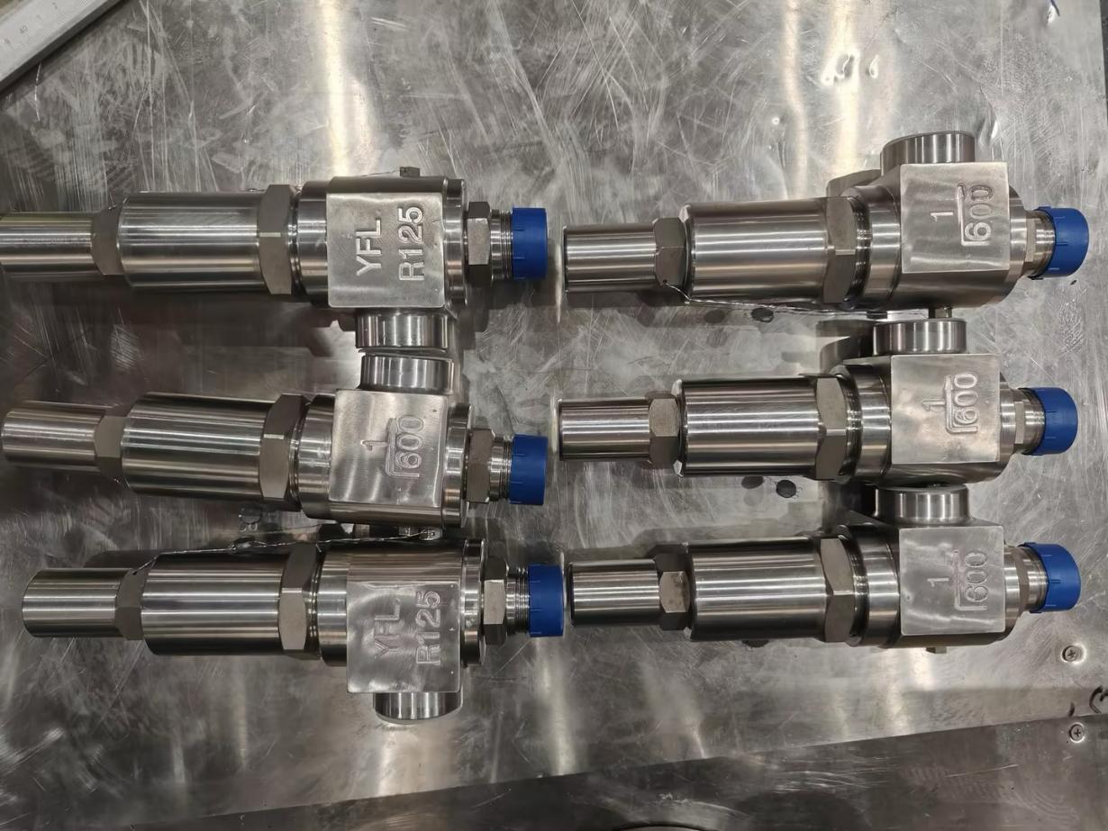 duplex stainless steel safety valves